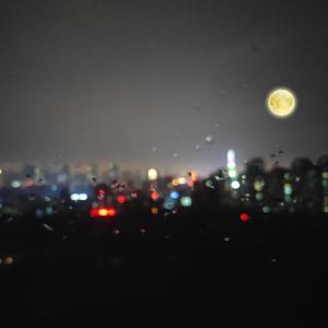 男同gv自慰🔞免费
